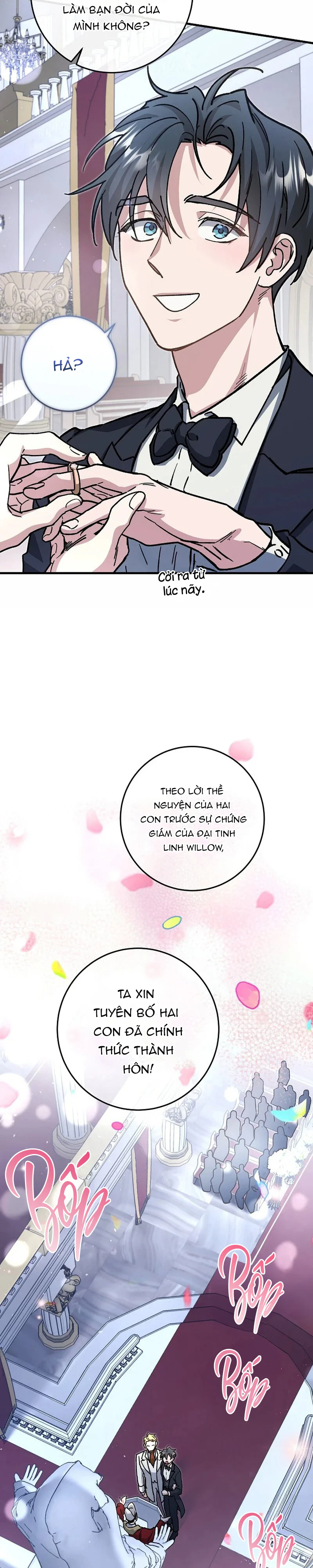 Trang 15