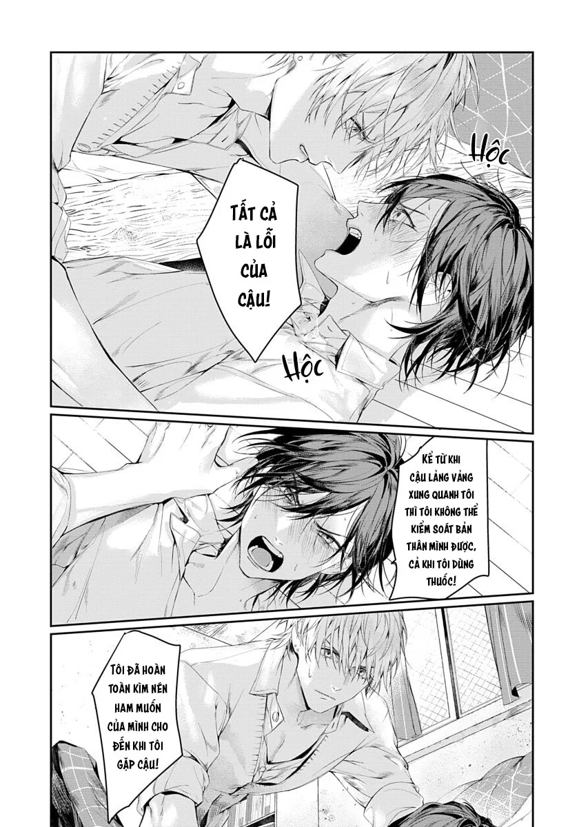 - Trang 