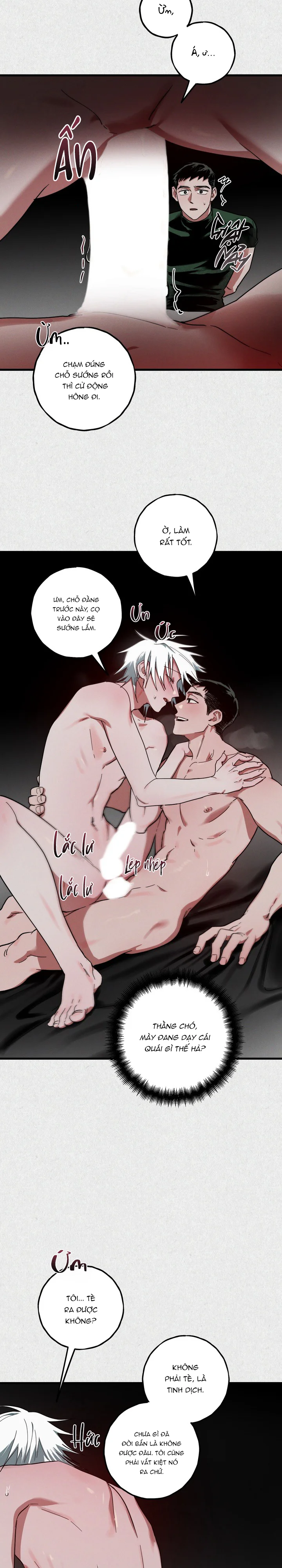  - Trang 