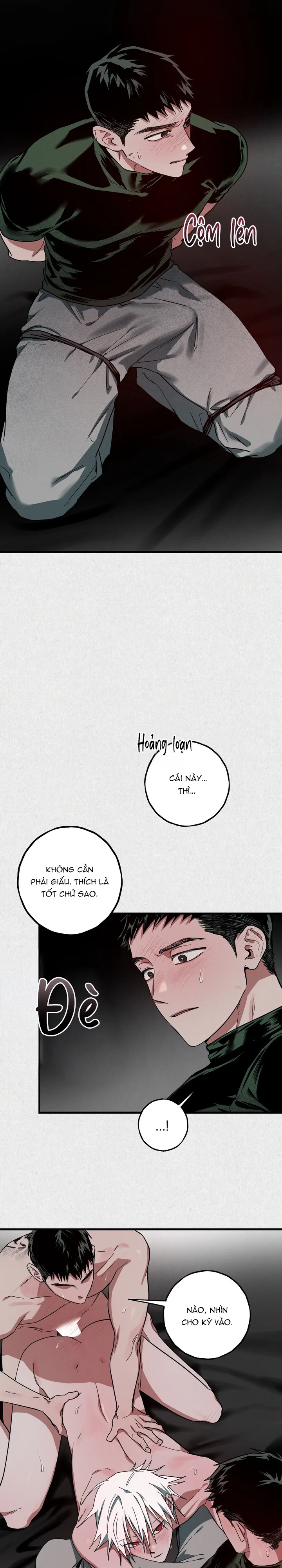  - Trang 