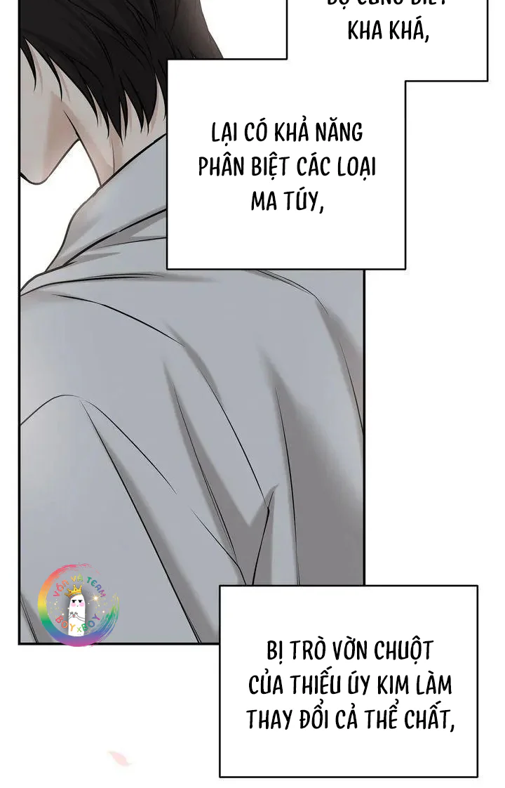  - Trang 