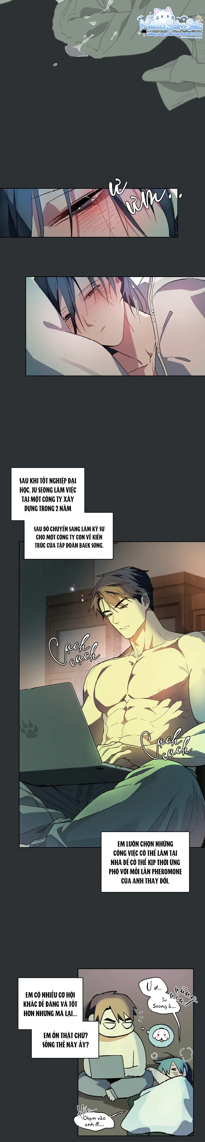 Trang 15