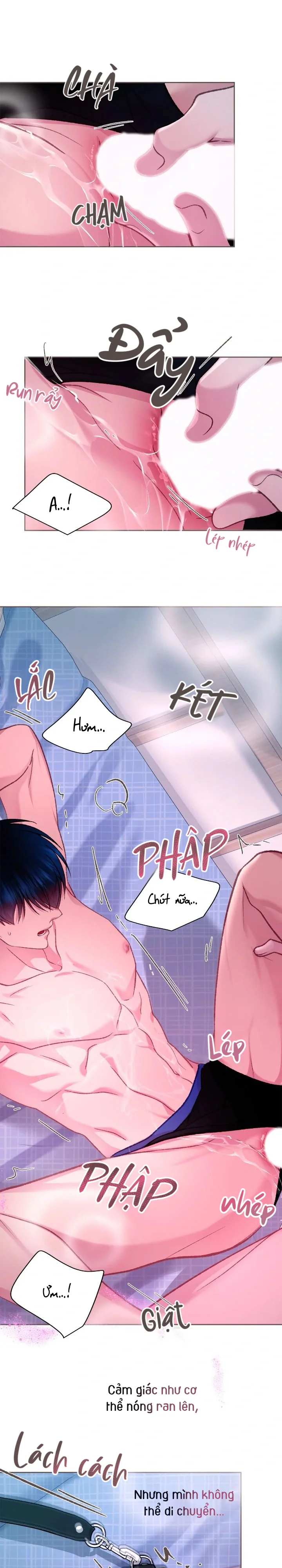  - Trang 