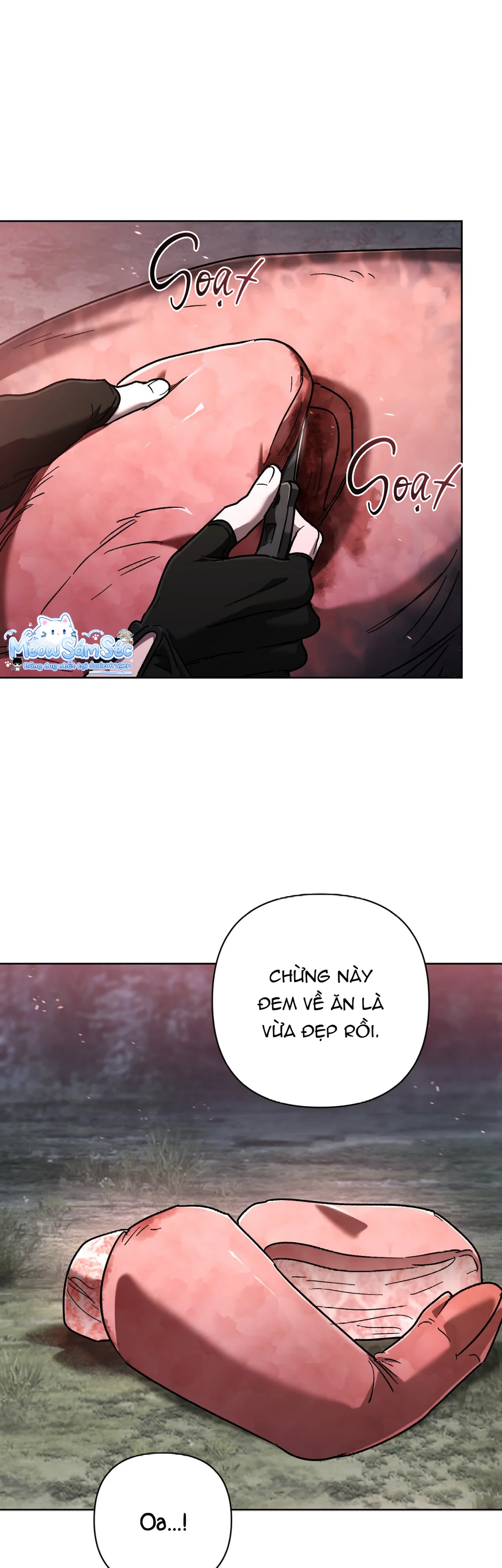  - Trang 