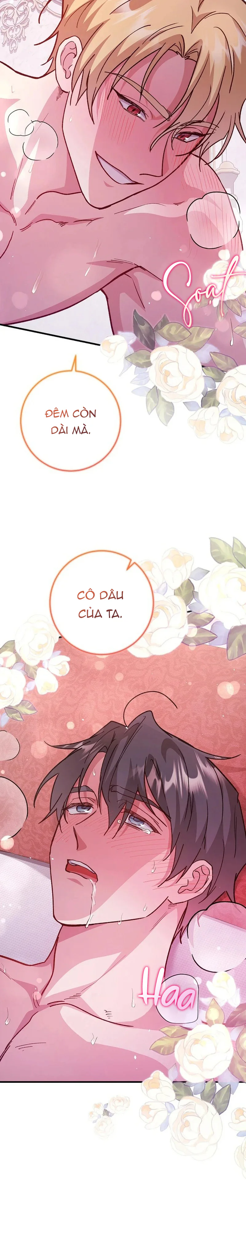  - Trang 