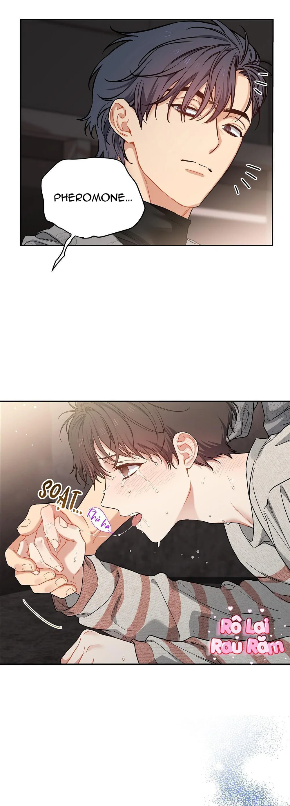 - Trang 