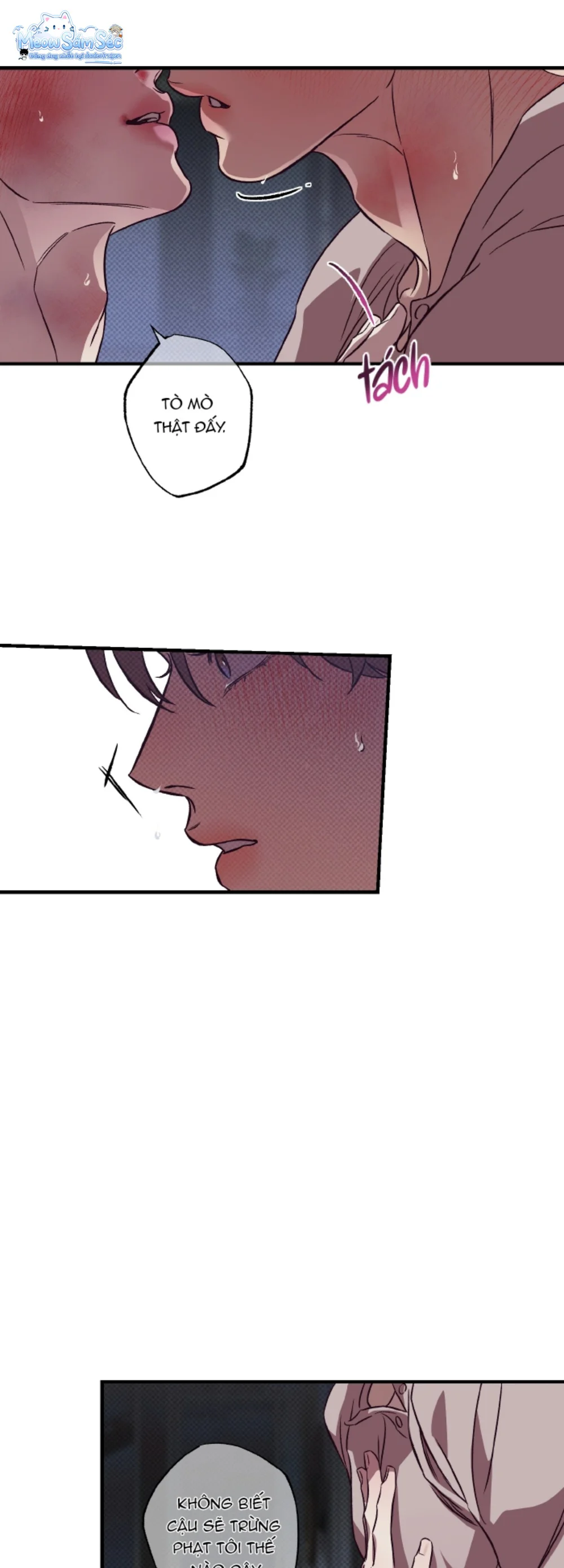  - Trang 
