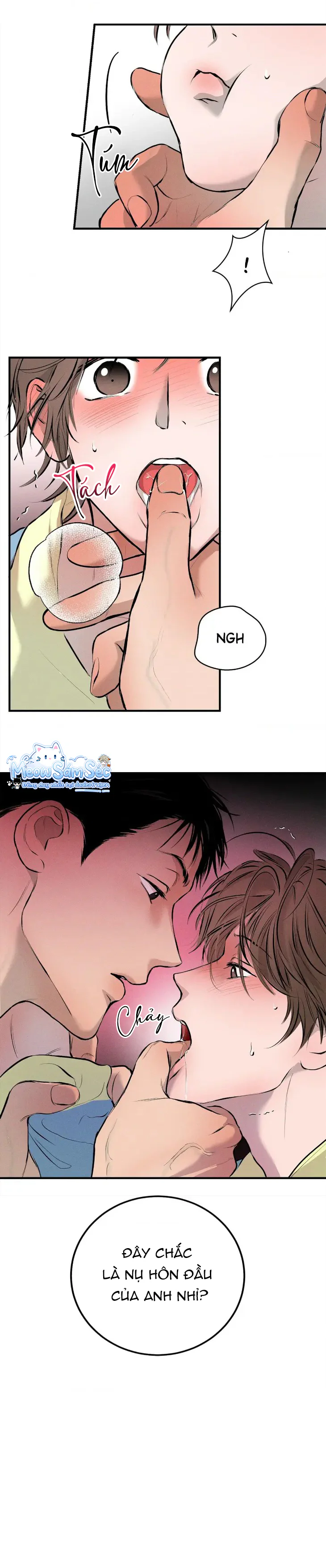  - Trang 