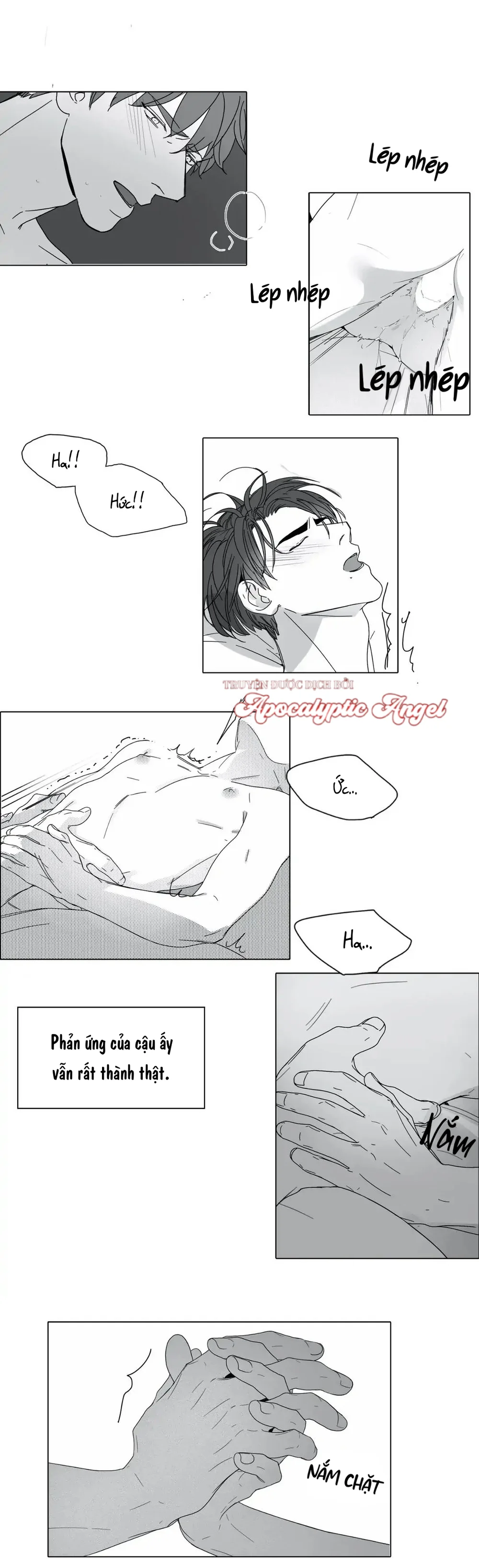  - Trang 