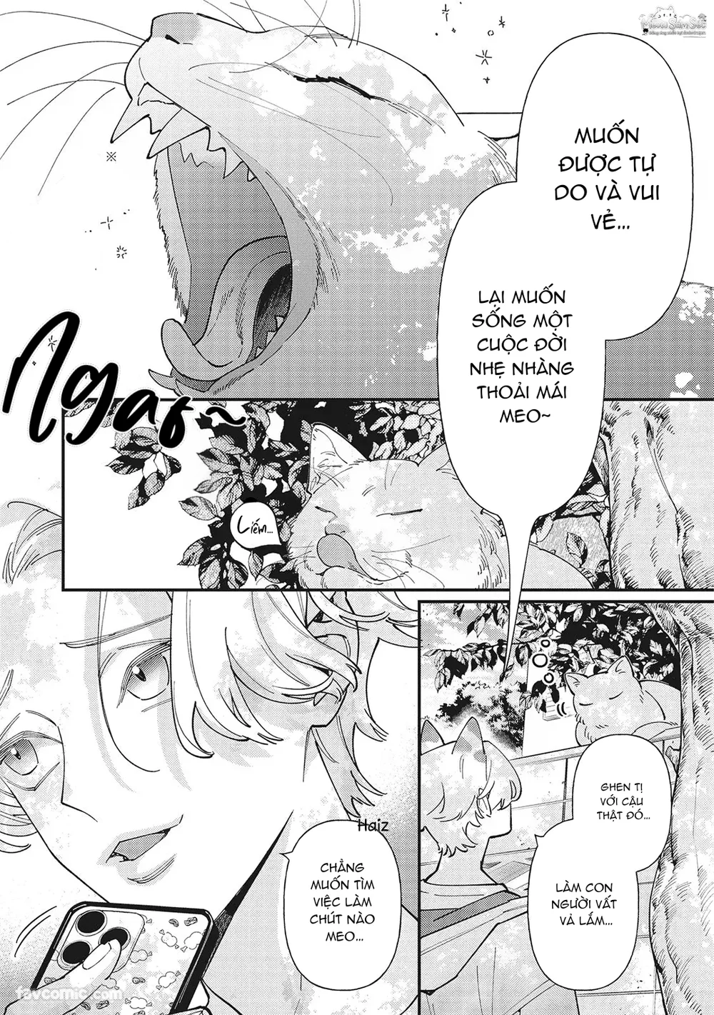  - Trang 