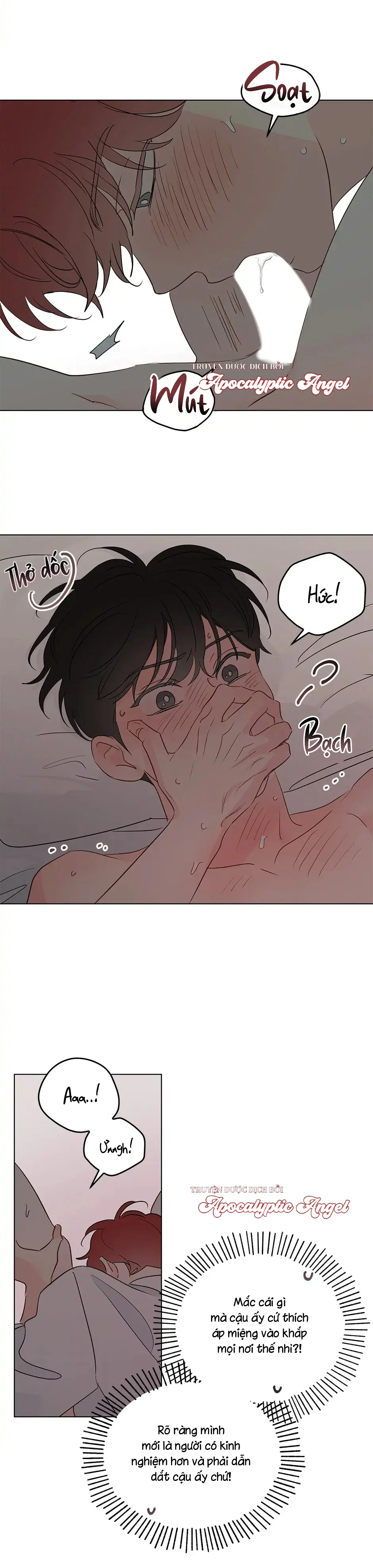  - Trang 