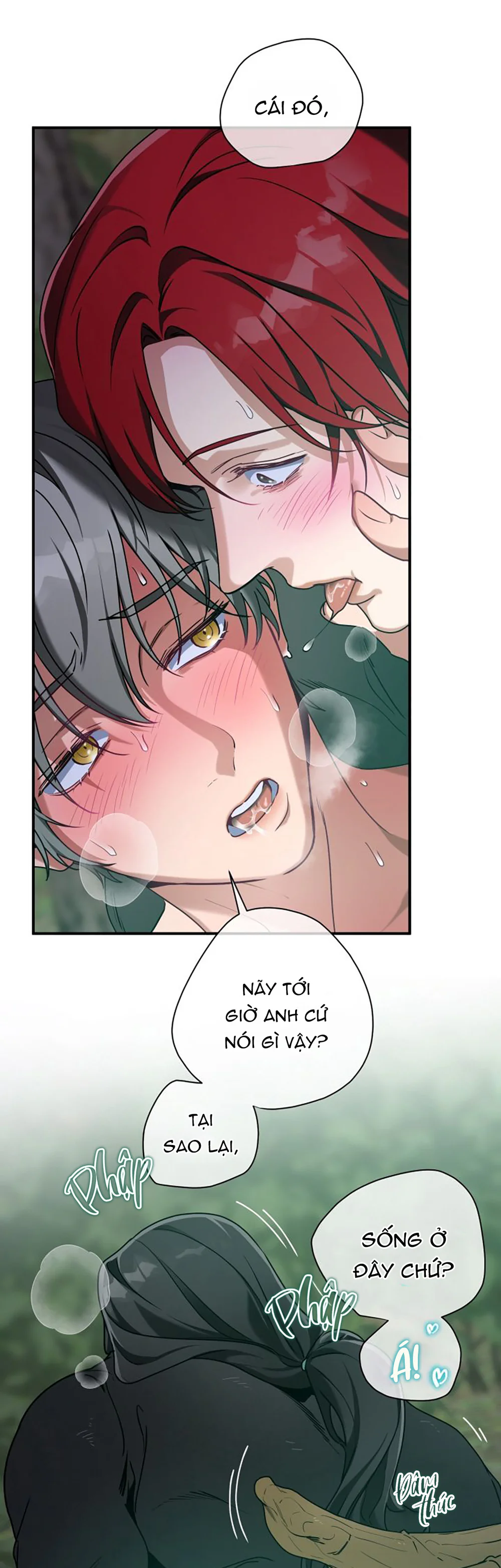  - Trang 