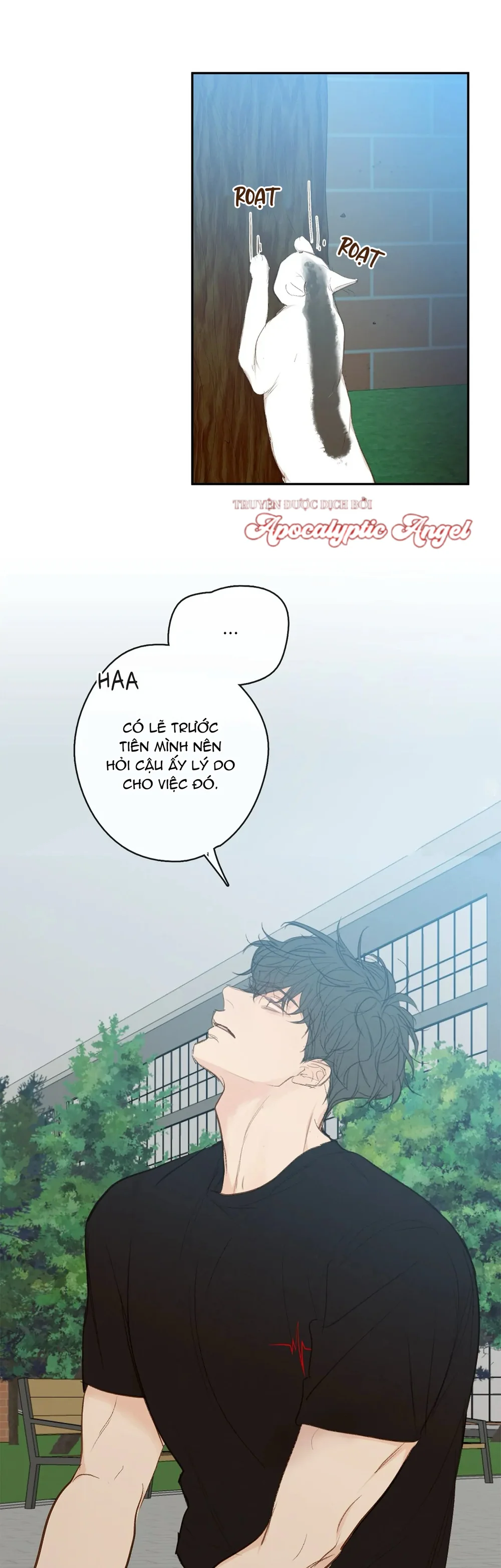  - Trang 