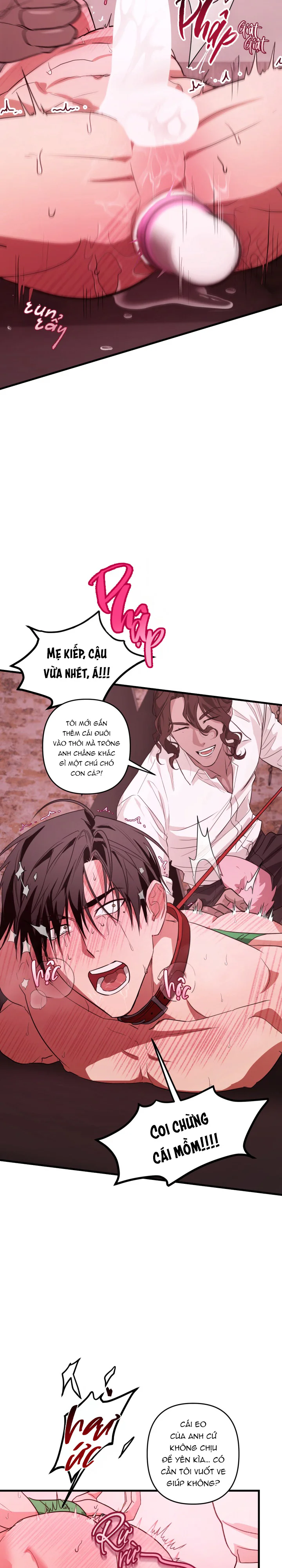  - Trang 