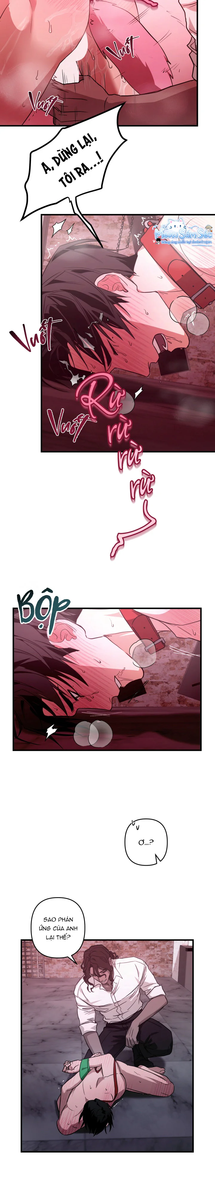  - Trang 