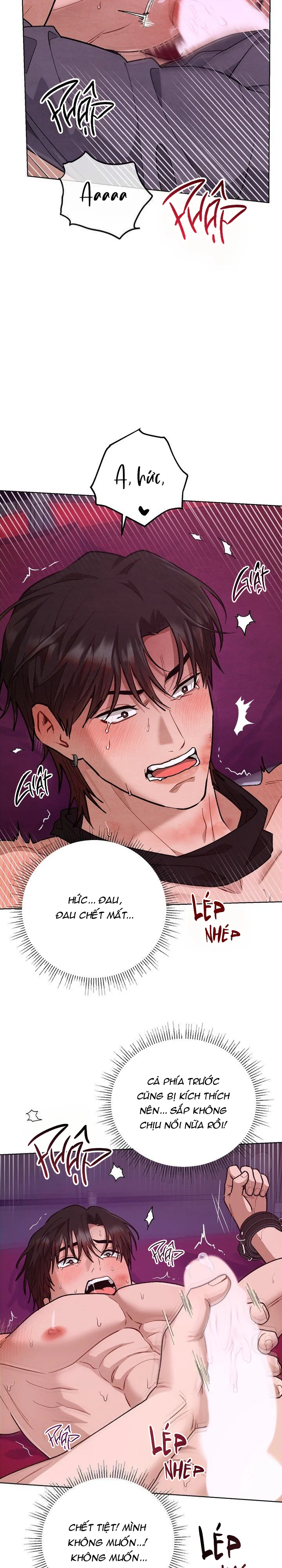  - Trang 