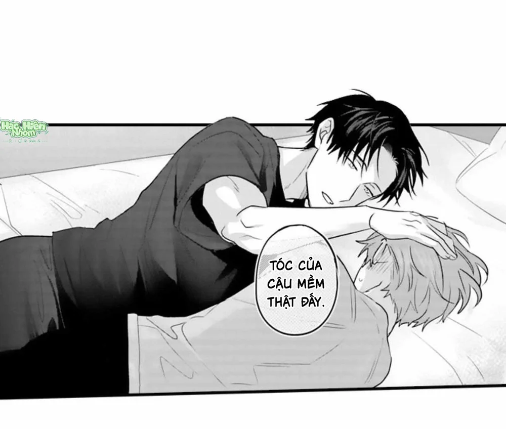  - Trang 