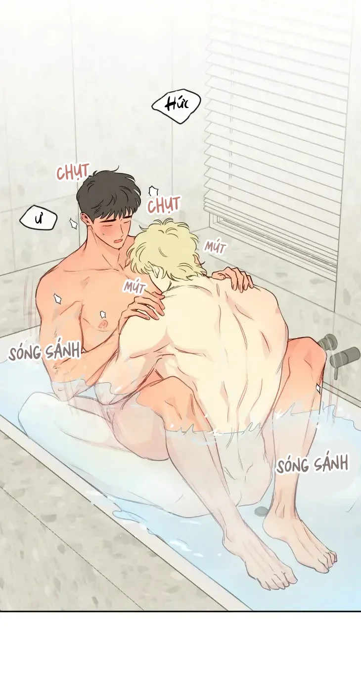  - Trang 