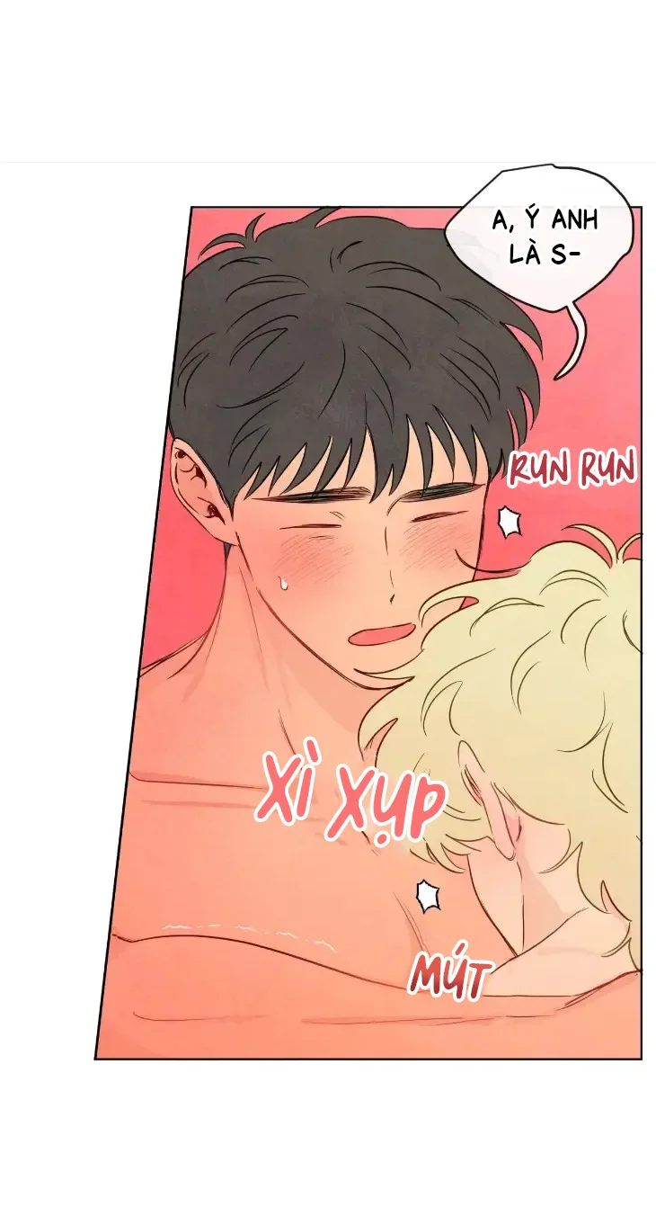  - Trang 
