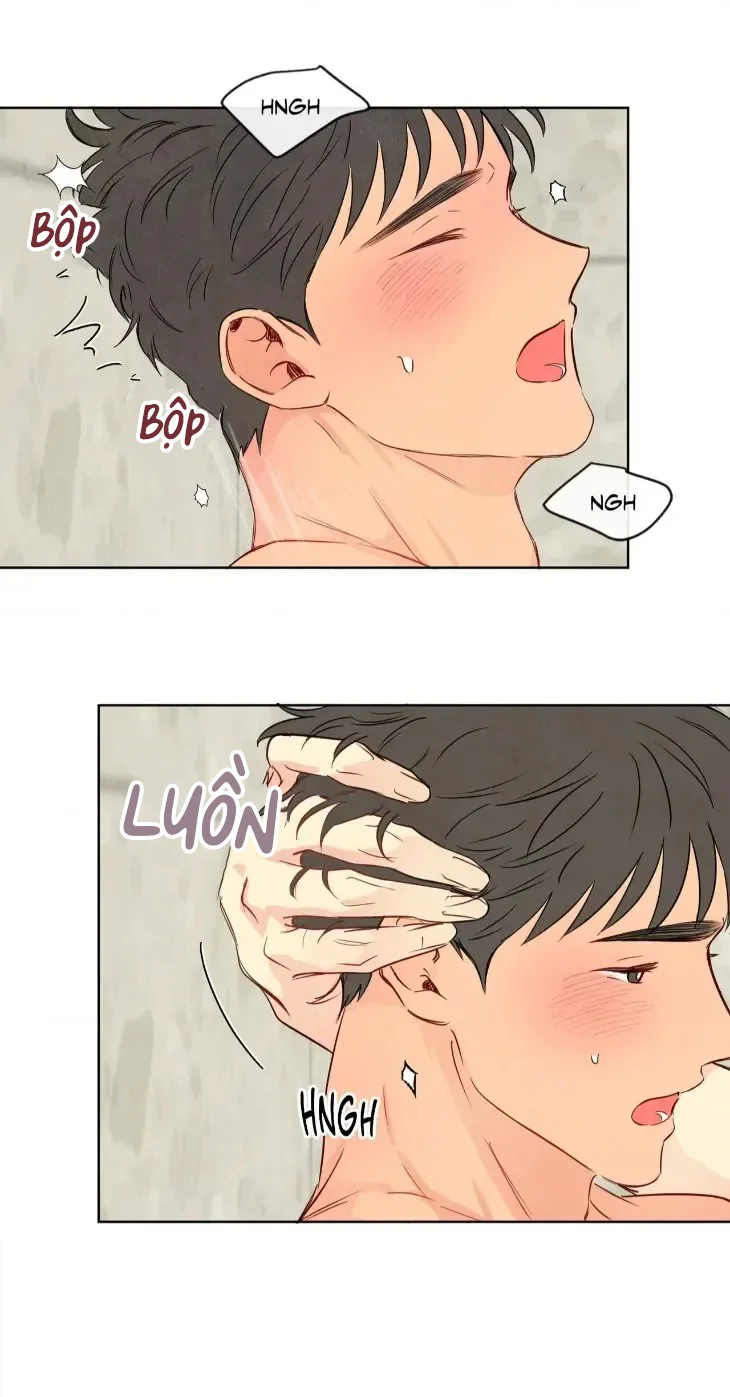  - Trang 