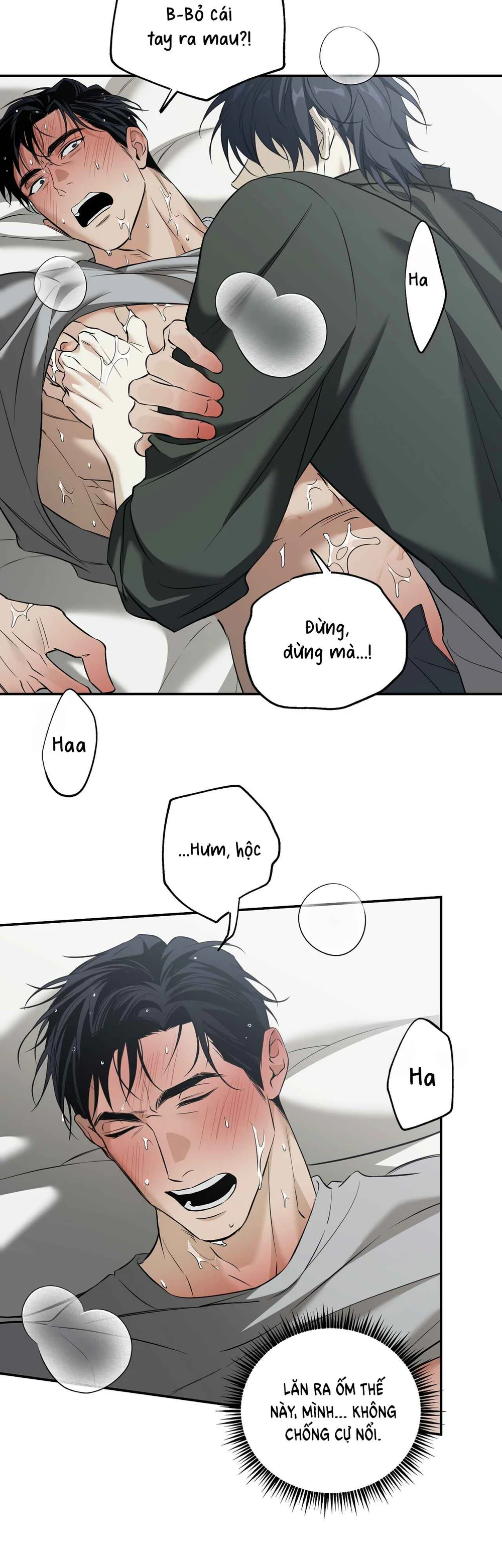  - Trang 