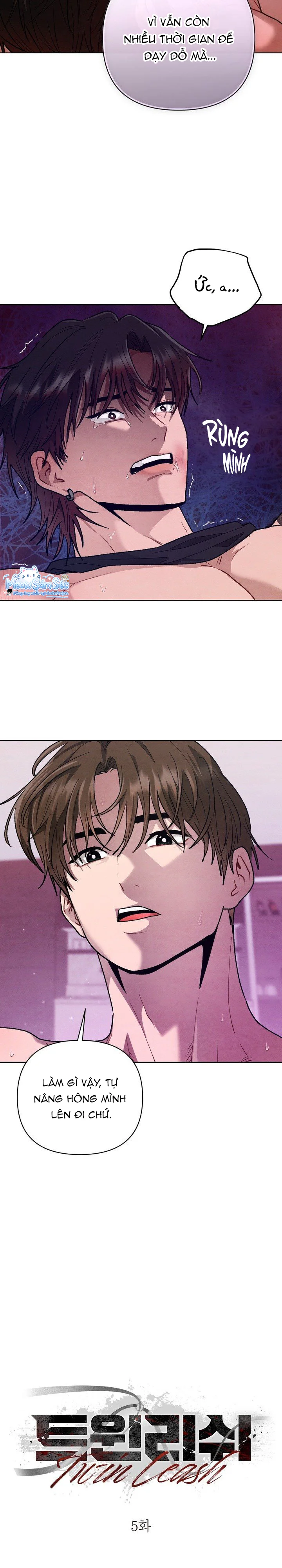  - Trang 