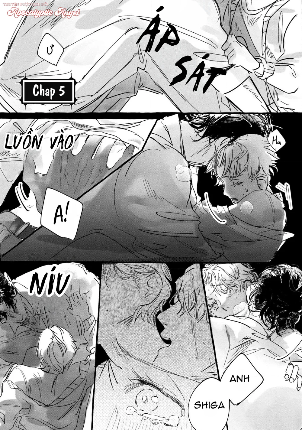  - Trang 