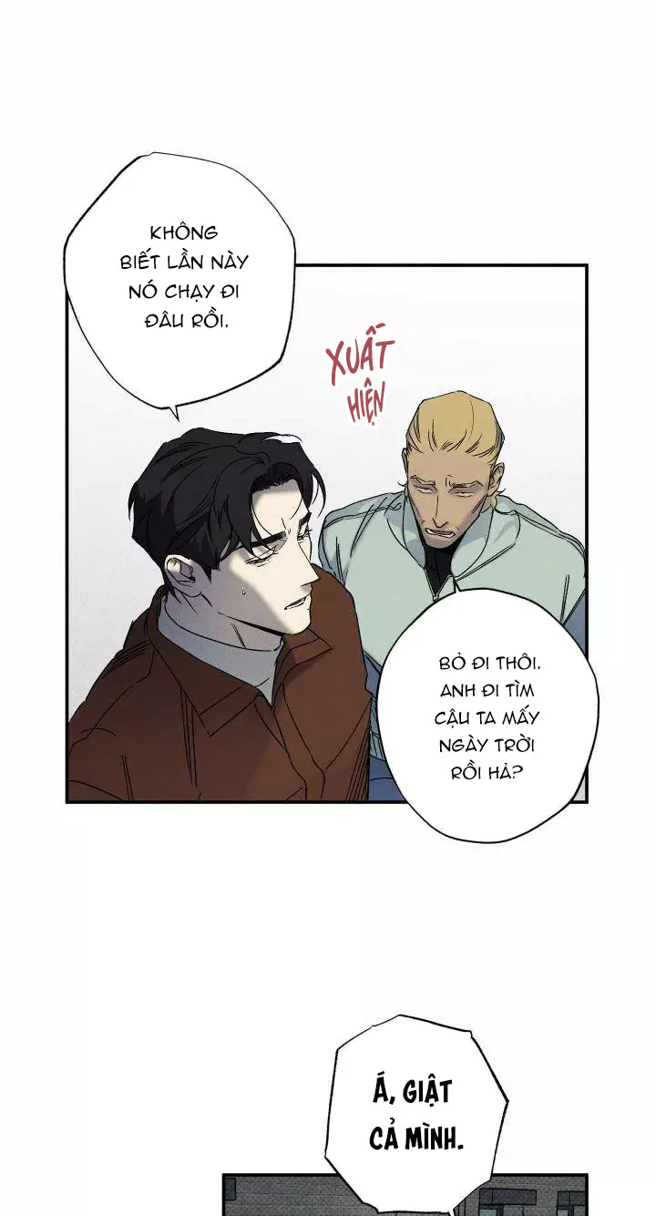  - Trang 