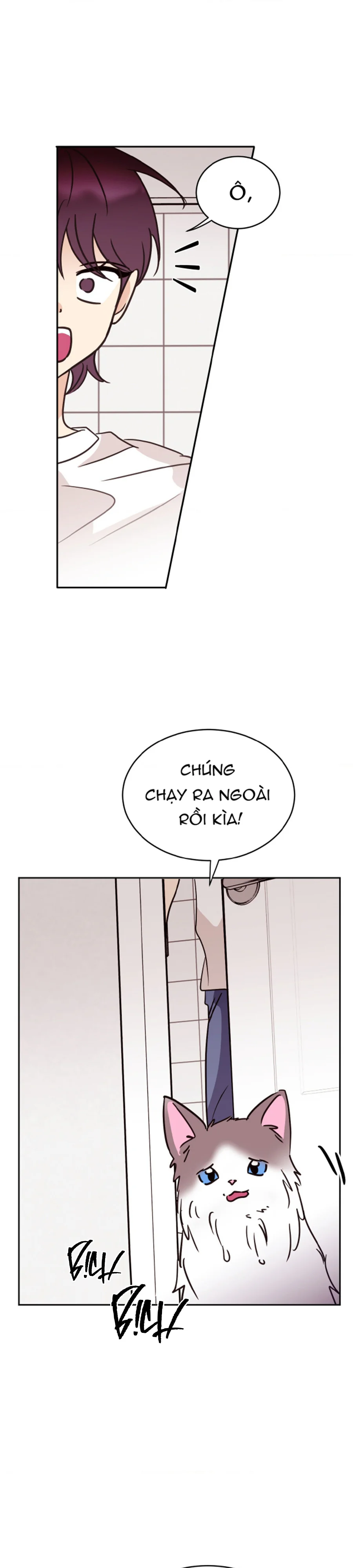  - Trang 