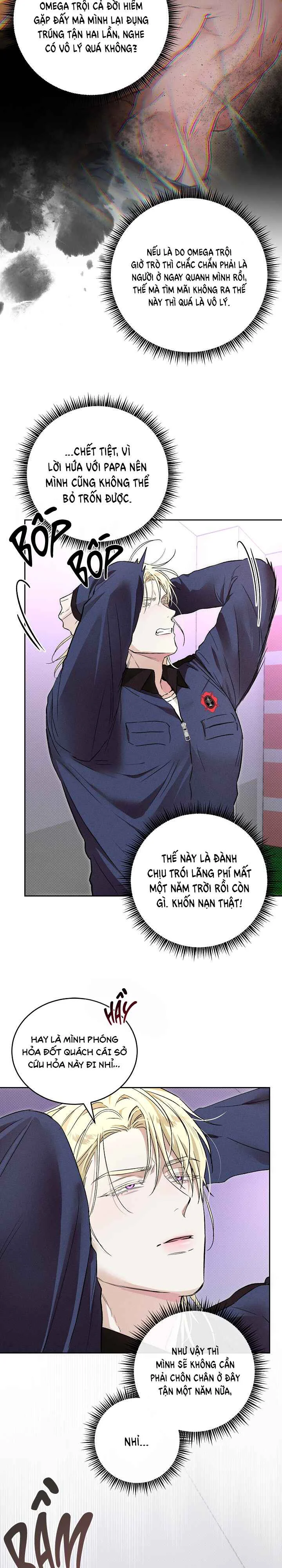  - Trang 
