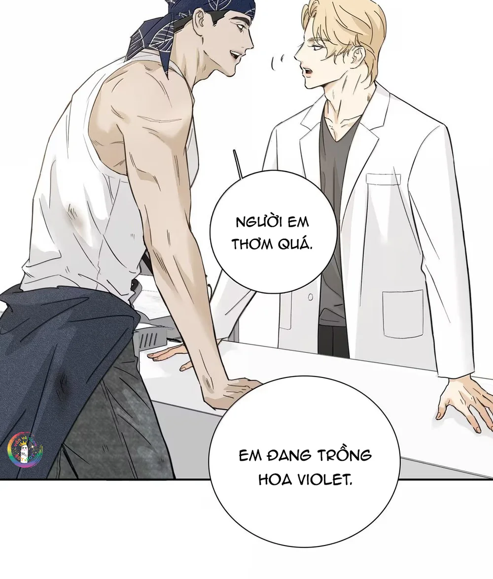  - Trang 