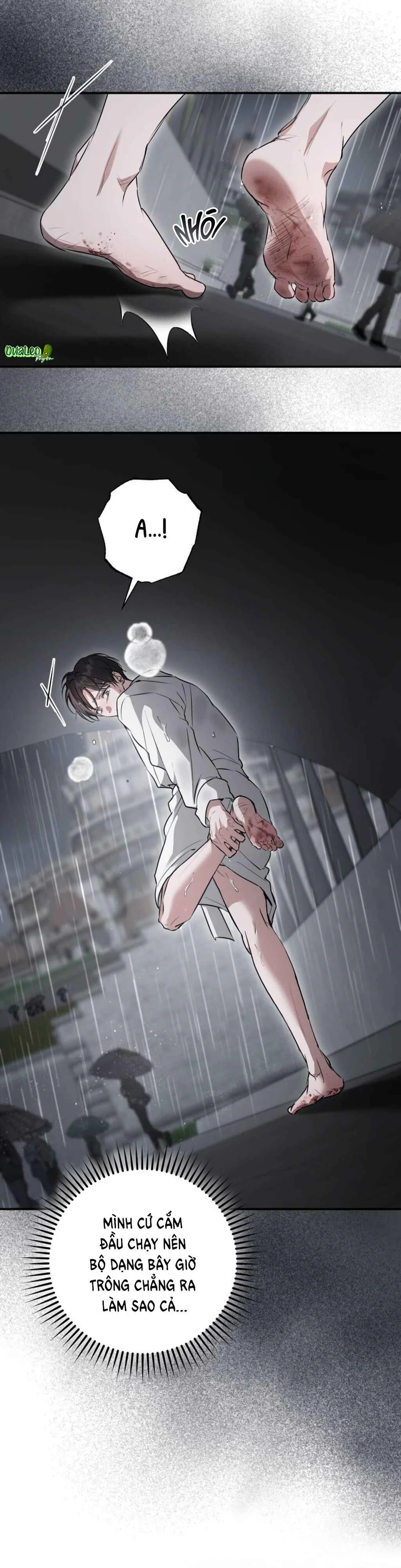  - Trang 